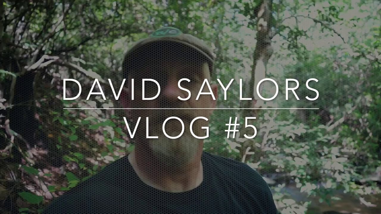 Macro Landscape photography with the Sony A7ii YouTube