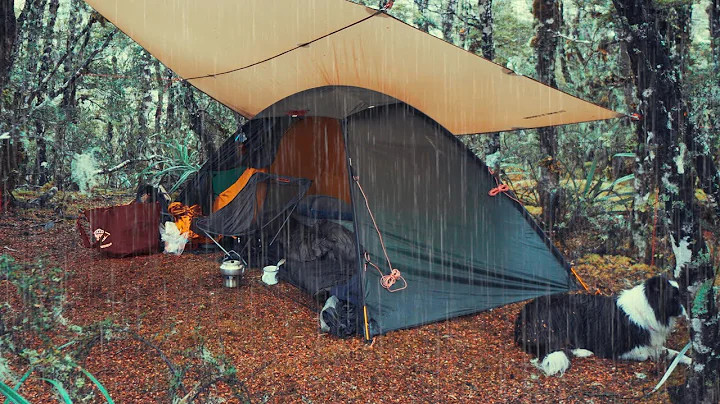 CAMPING in Rain Forest with Tarp - Rain ASMR - DayDayNews