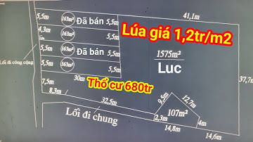 Bán đất thổ cư và lúa ấp 3 xã tân ân cần đước Long An vị trị gần trung tâm huyện cần đước