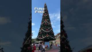 Magic Kingdom Christmas Decorations - Town Square Holiday Tree