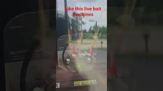 live bait machine #fishing #bassfishing #lifeisbutadream #livebait