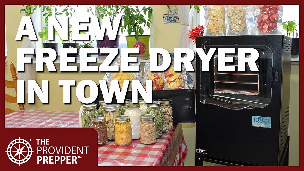 Freeze Dryers - an overview