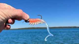 This Lure CRUSHED It! (New PB)