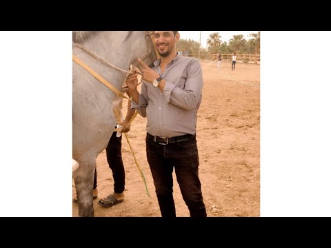 معقول دايبه ف هواي