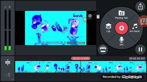 larva intro in chorded