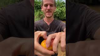 3 Fruits That Look Too Crazy to Be Real