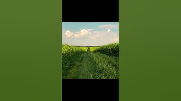 وَتَوَكَّلْ عَلَى الْعَزِيزِ الرَّحِيمِ (217)سورة Sura   الشعراء   Ash-Shu'araa