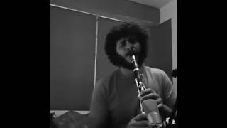 pain , sad clarinet  most beautiful i have heard