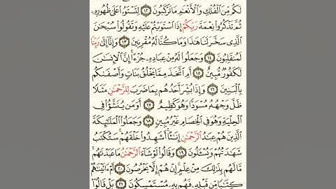 ماهر المعيقلي سورة الزخرف مكتوبة من الآية 1 صفحة 489 إلي الآية 47 صفحة 492
