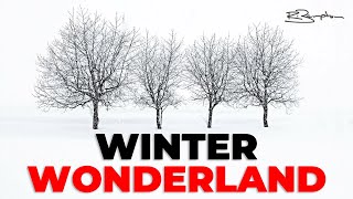 Japan Photography Adventure | Travel Vlog screenshot 5