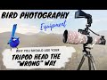 Why you should be using your tripod head the "wrong" way - Bird Photography Equipment - Jan Wegener