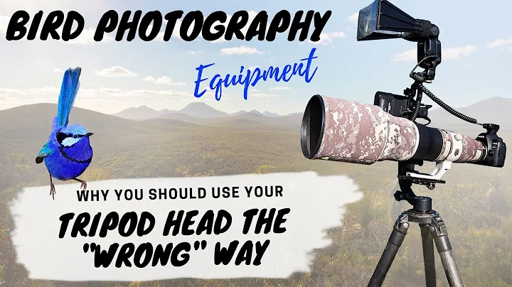Why you should be using your tripod head the "wrong" way - Bird Photography Equipment - Jan Wegener - DayDayNews