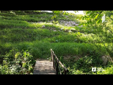 თბილისის ბოტანიკური ბაღის იშვიათ და გადაშენებად მცენარეთა საკოლექციო ნაკვეთი