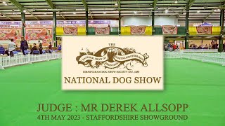 Applejem   National Dog Show   04052023 by Applejem Old English Sheepdogs 247 views 10 months ago 1 hour, 26 minutes