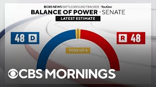 Key states in Senate race, what issues impact voters