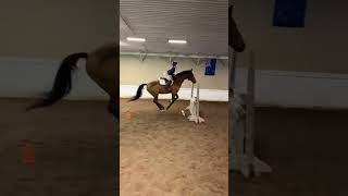 Edit of jumping 3’6”!!