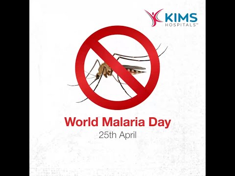 World Malaria Day
