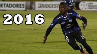 José Angulo ● Independiente del Valle ● Goals & Skills 2016