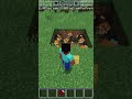 Minecraft Funny shots 😂                                    #shorts