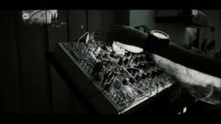 dopamine-pulsar 23 spotlight modular would show