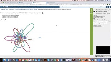 Monitoring and viewing the submitted PATRIC Genome Assembly Service job