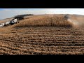 2020 Corn Harvesting - Chasing Grey - Gleaners S67 & R62 - Monroe County - Michigan - 5K