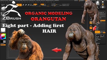 Organic Modeling - ORANGUTAN Part 8 ADDING FIRST HAIR in Zbrush 4R7