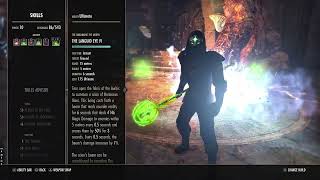 General guide to doing damage on a Stamina Arcanist