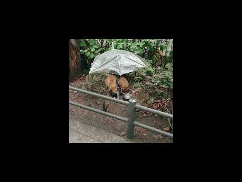 프리비트 랩 7. Picture (beat by yew:on - picture) [리마스터 재업로드]
