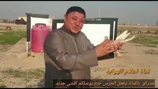 جوري في 2021  لقاء مع علي صياح وسعدون الحلفي وابو حميد  ودعوه عامه  ع جوري في اقرب هوه سامت  ياعيني