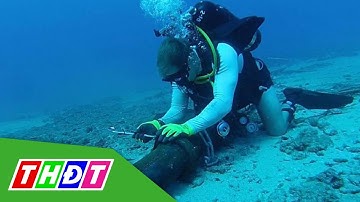 Cáp quang biển AAG đã được sửa xong, tốc độ internet khôi phục | THDT