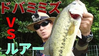 禁断の問い ルアーと餌ってどっちがバス釣れるのよ の検証動画 Sakana Magazine