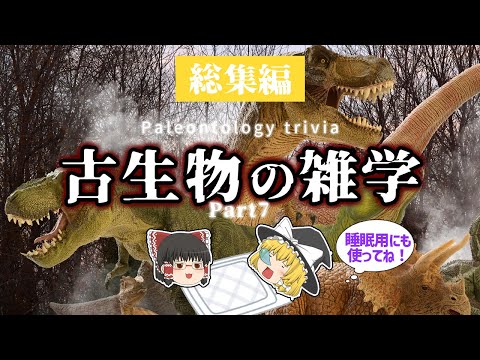 【睡眠用・ゆっくり解説】古代生物の雑学Part7　恐竜博物館/大事件/オダイバ恐竜博　など【途中広告なし】