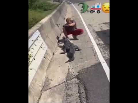 Florida Man Vs. Alligator