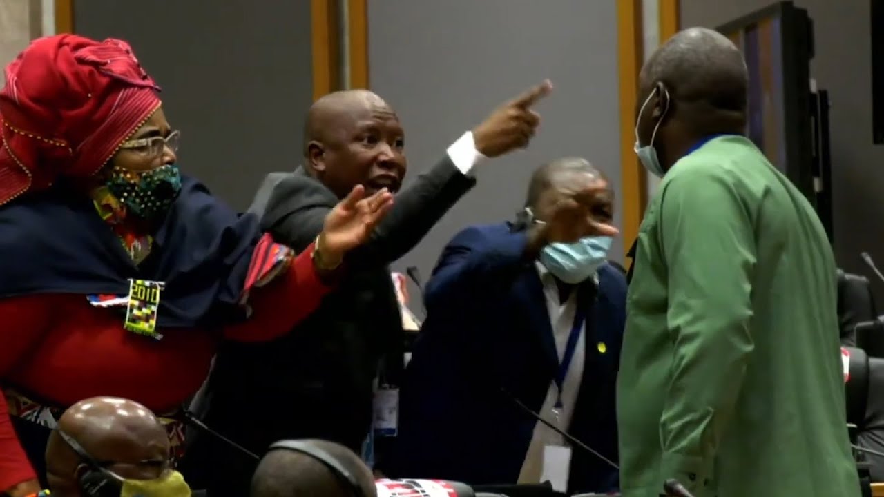 I'll kill you outside' | Malema in heated exchange at Pan-African parliament sitting