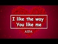 I like the way you like me  aida  lyrics