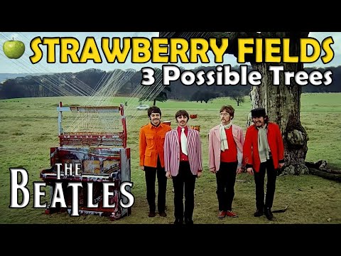 Video: Beatles-steder at besøge i USA