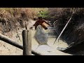 Wow! A Handsome Man Catch Very Big Catfish - Using Water Pump For Fishing In Dry Season - tyriq 1256