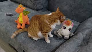 Рыжий кот Лева и его друзья
