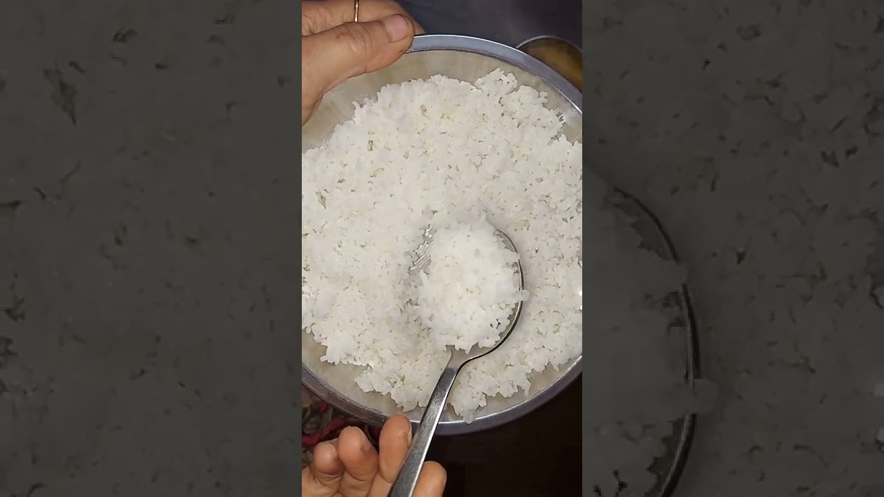 India Gate Mini Mogra II Banati Rice Review 