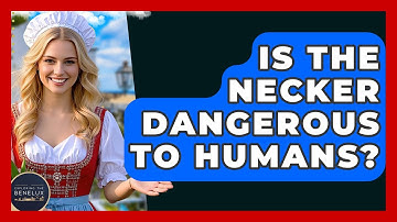 Is The Necker Dangerous To Humans? - Exploring The Benelux