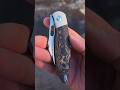 Too Seaxy #shorts #short #shortvideo #trending #video #viral #viralvideo #viralshorts #trend #edc