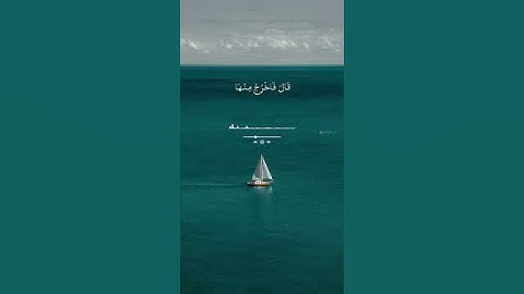 تلاوة خاشعة بصوت القارئ هزاع البلوشي #قرآن #قران_كريم #هزاع_البلوشي