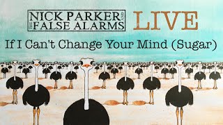Nick Parker and the False Alarms - If I Cant Change Your Mind - Live