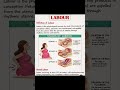 subscribe my youtube channel