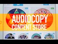 The Build — Content Store