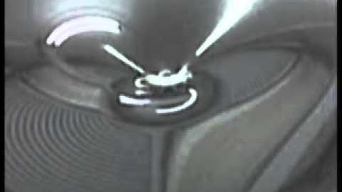 Black hole gravity funnel