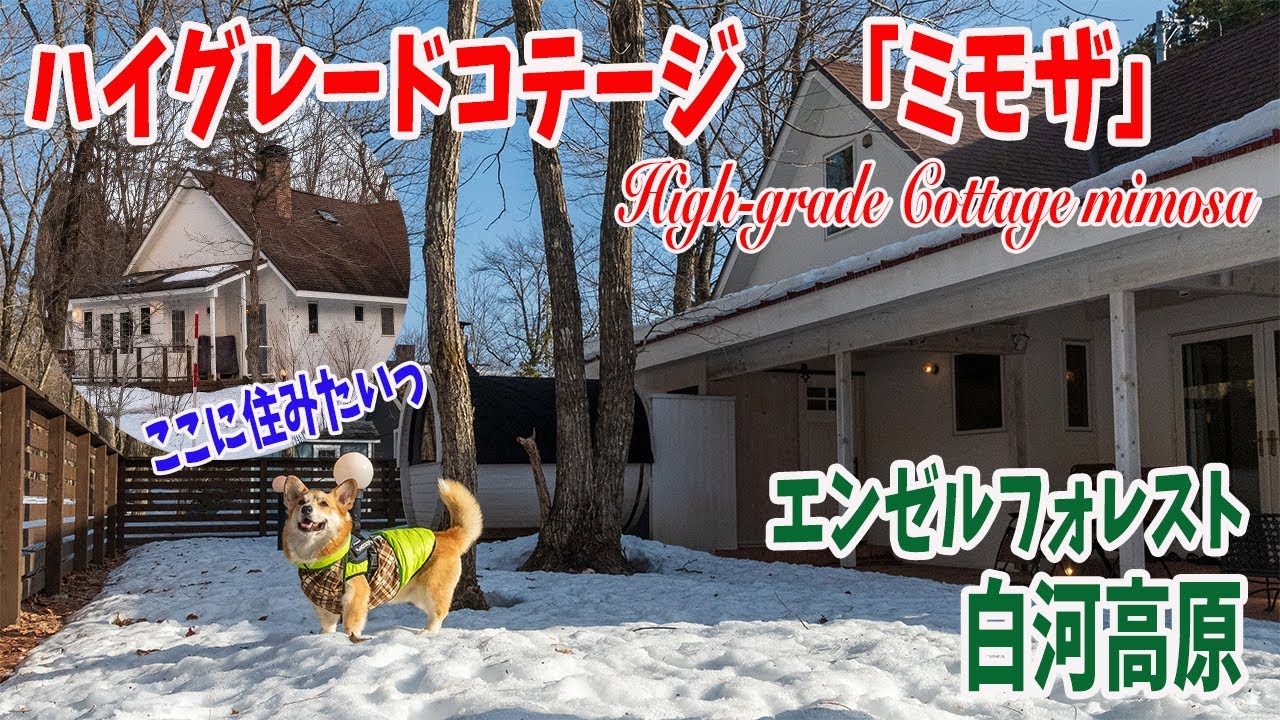 【エンゼルフォレスト】ハイグレードコテージ「ミモザ」に泊まったら、住みたくなって帰りたくなかったコーギーと飼い主