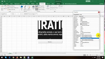 Load Photo with FileDialog in Excel VBA