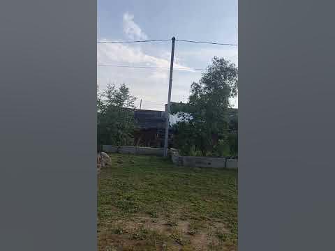 Какого туя так дорого!?!! - YouTube